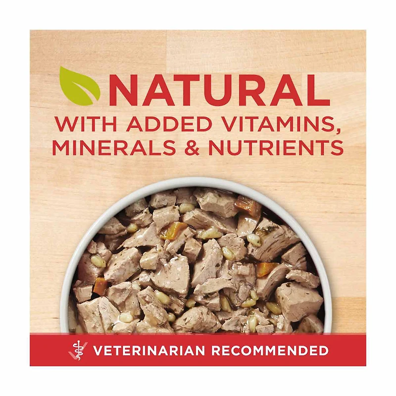 Purina ONE Tender Cuts in Wet Dog Food Gravy Chicken and Brown Rice Entree, 13 oz