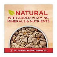 Purina ONE Tender Cuts in Wet Dog Food Gravy Chicken and Brown Rice Entree, 13 oz