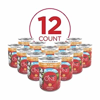 Purina ONE Tender Cuts in Wet Dog Food Gravy Chicken and Brown Rice Entree, 13 oz
