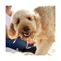 Good ’n’ Fun Triple Flavor Twists Rawhide Chews for Dogs, 22 ct