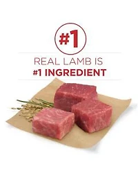 Purina ONE SmartBlend Natural Lamb & Rice Formula Dry Dog Food, 3 lb Bag