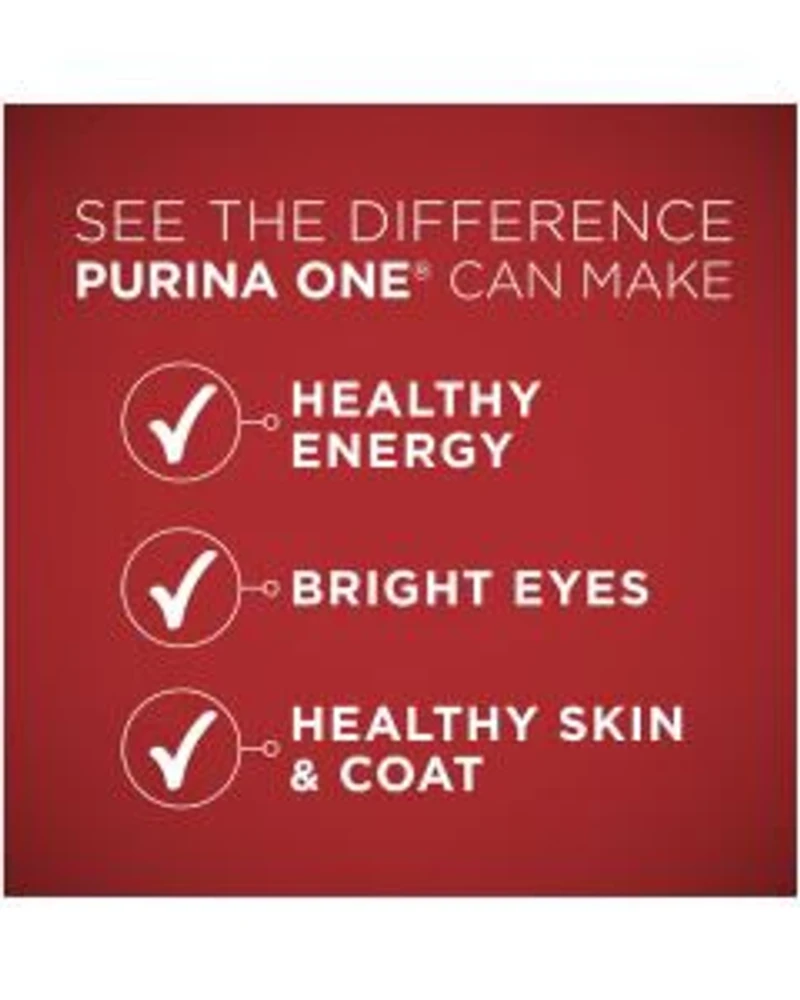 Purina ONE SmartBlend Natural Lamb & Rice Formula Dry Dog Food, 3 lb Bag