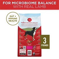 Purina ONE Dry Dog Food  Lamb and Rice Formula