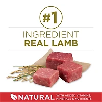Purina ONE Dry Dog Food  Lamb and Rice Formula