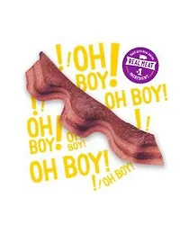 Purina Beggin' Strips Real Meat Dog Treats, Bacon & Beef Flavors - 3 oz. Pouch