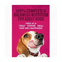 Purina Moist and Meaty Steak Flavor Soft Dog Food Pouches, 6 ct