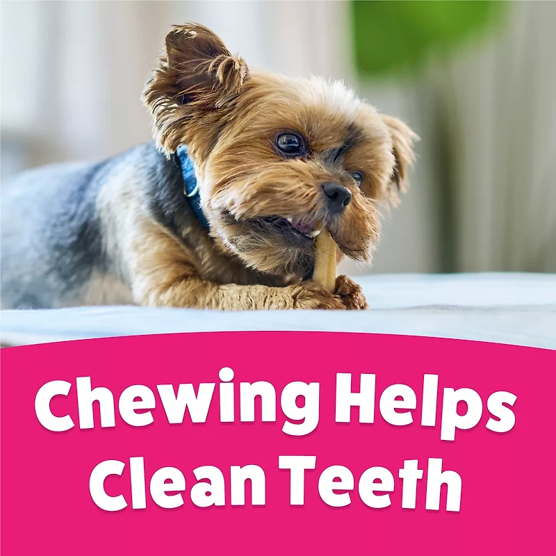 Purina Busy Bone Tiny Dog Chew Bones With Middle Made With Pork