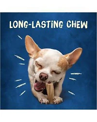 Purina Busy Bone Dog Chews, Tiny Dog Treats, 10 ct