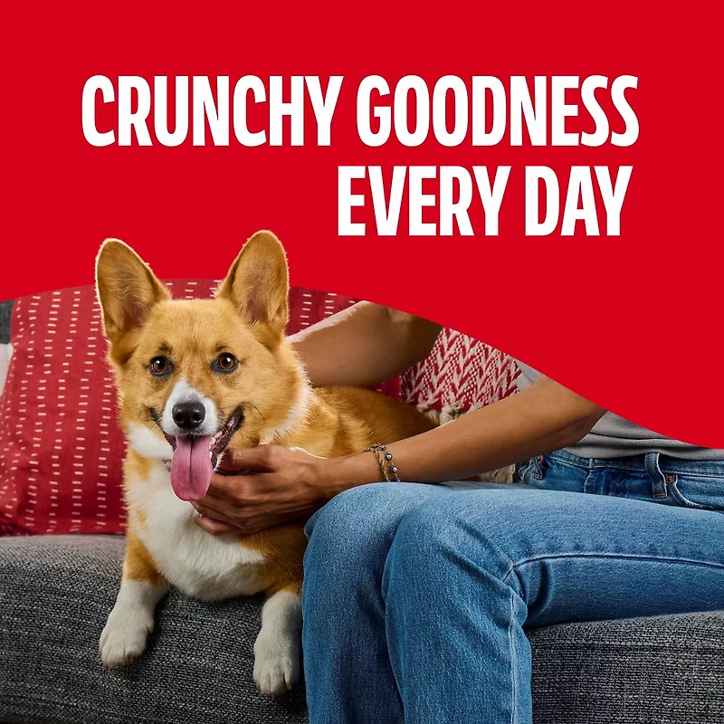 Milk-Bone Flavor Snacks Small Dog Biscuits, Flavored Crunchy Dog Treats, 17 Oz. Box