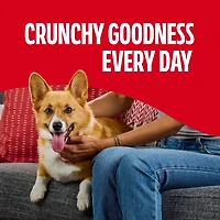 Milk-Bone Flavor Snacks Small Dog Biscuits, Flavored Crunchy Dog Treats, 17 Oz. Box