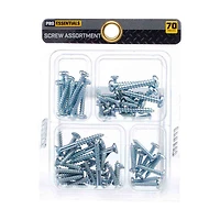 Pro Essentials Screw Assortment Kit, 70 Piece