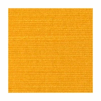 Lion Brand Yarn- DIYarn Yellow 205-157F