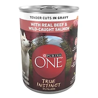 Purina ONE High Protein Wet Dog Food True Instinct Tender Cuts in Gravy With Real Beef and Wild-Caught Salmon, 13 oz