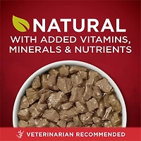 Purina ONE High Protein Wet Dog Food True Instinct Tender Cuts in Gravy With Real Beef and Wild-Caught Salmon, 13 oz