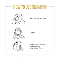 Pantene Pro-V Nourishing Multi Care 3 In 1 Shampoo, 17 fl oz