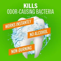 TheraBreath Fresh Breath Mouthwash, Mild Mint, Alcohol-Free, 10 fl oz