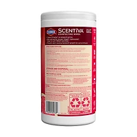 Clorox Scentiva Wipes, Bleach Free Cleaning Wipes, Tahitian Grapefruit Splash, 75 ct