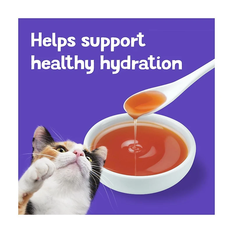 Purina Friskies Lil' Gravies Roasted Turkey Flavored Cat Food, 1.55 oz