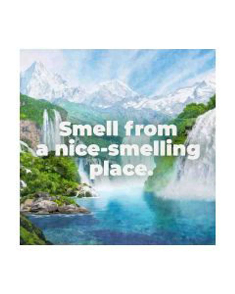 Irish Spring Original Clean Body Wash for Men, 20 fl oz