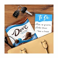Dove Milk Chocolate Promises, 5.08 oz