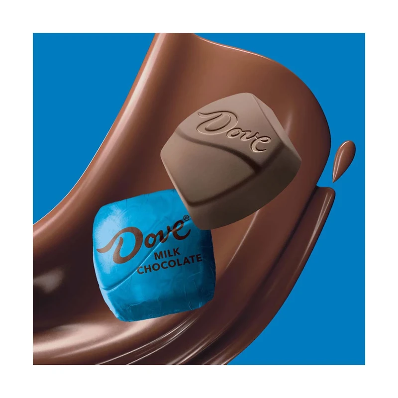 Dove Milk Chocolate Silky Smooth Promises, 4.50 oz