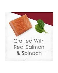 Purina Fancy Feast Medleys Wet Cat Food, Shredded Wild Salmon Fare with Garden Greens in Savory Broth, 3 oz