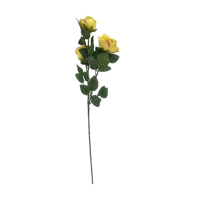 Rose Stem