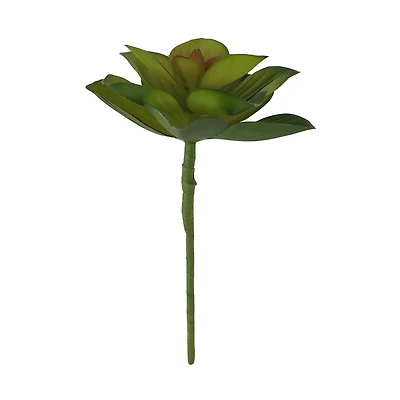 Succulent Pick