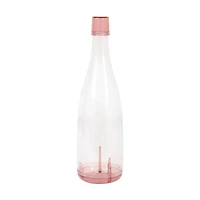 Rose Gold Plastic Champagne Flutes in Plastic Wine Bottle, 5 Pieces