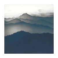 Canvas Photo Assorted 20 in x 20 in