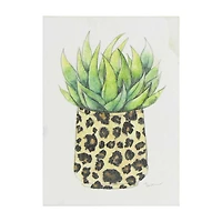Succulent Art, 5 in x 7 in