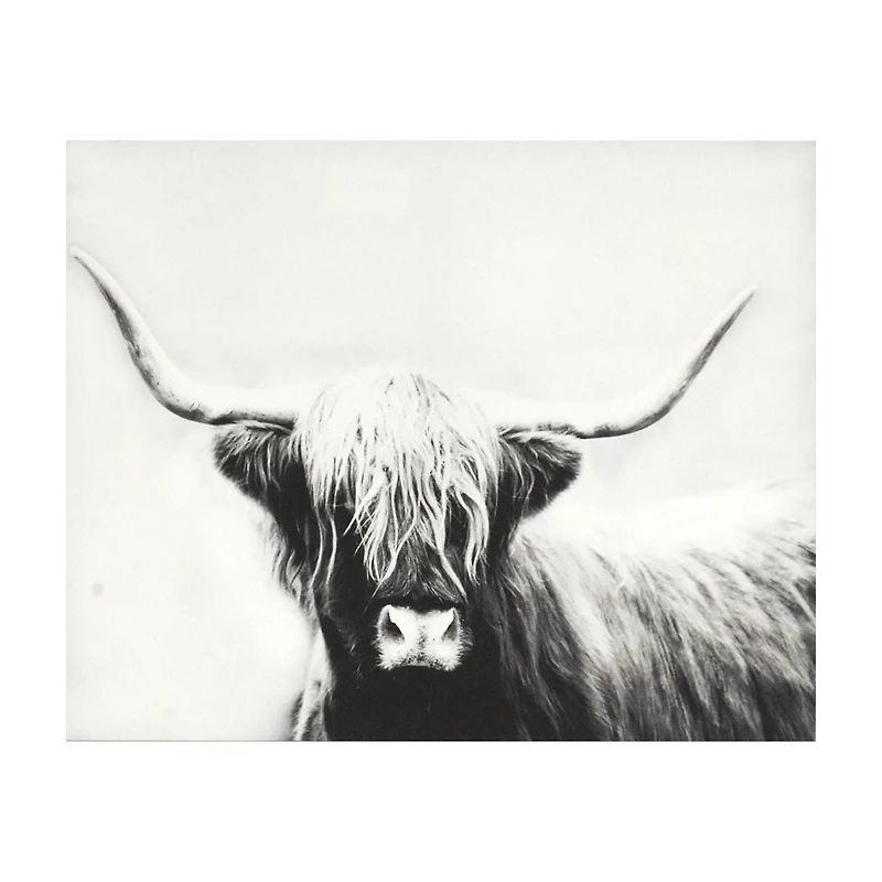 Photography Canvas Art, 20 in x 16 in