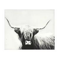 Photography Canvas Art, 20 in x 16 in