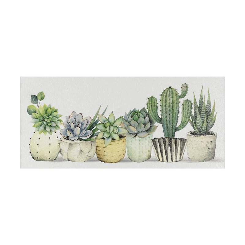 Succulent Art, 10 in x 4.5 in