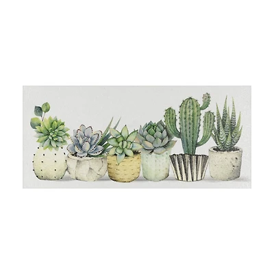 Succulent Art, 10 in x 4.5 in