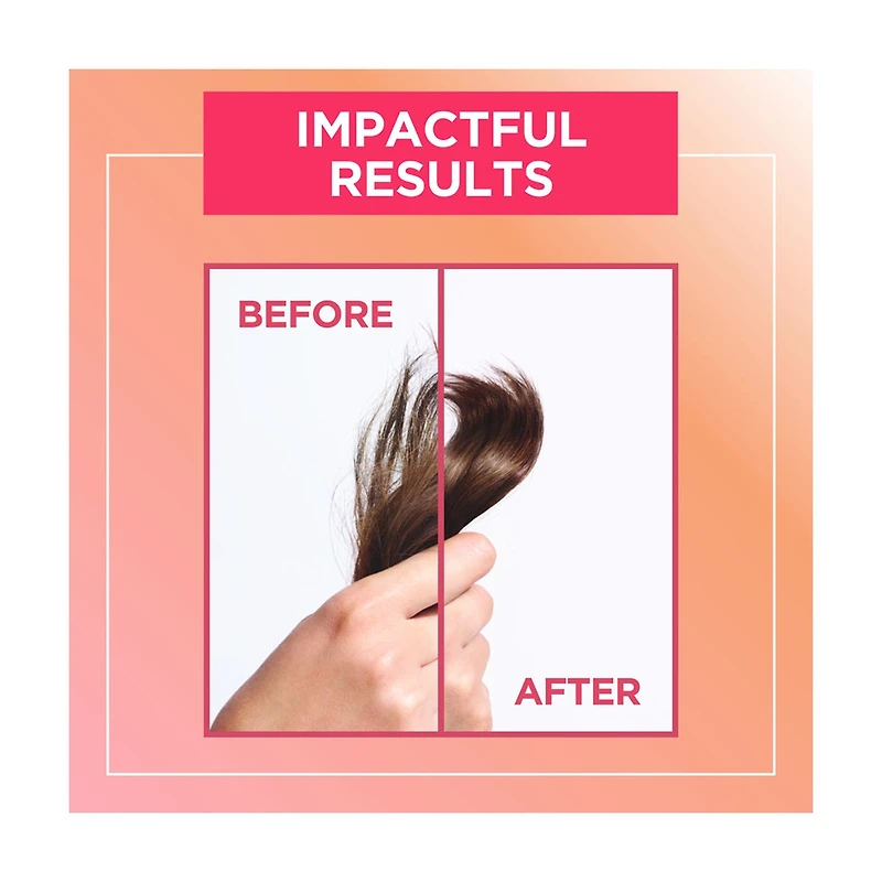 L'Oreal Paris Elvive Dream Lengths Restoring Shampoo for Long, Damaged Hair, 12.6 fl oz