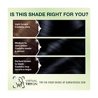 Garnier Fructis Sleek & Shine 10 in 1 Spray