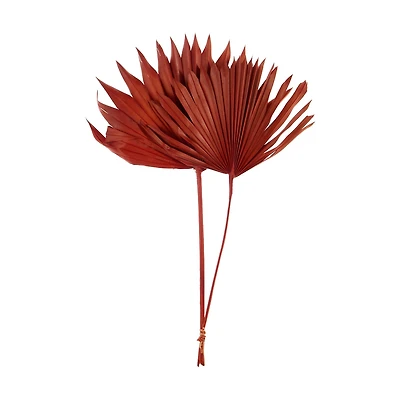 Burnt Orange Sun Spear Stem, 2 Pieces