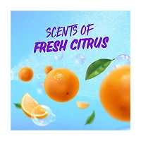 Aussie Instant Freeze Hair Spray, 10 oz