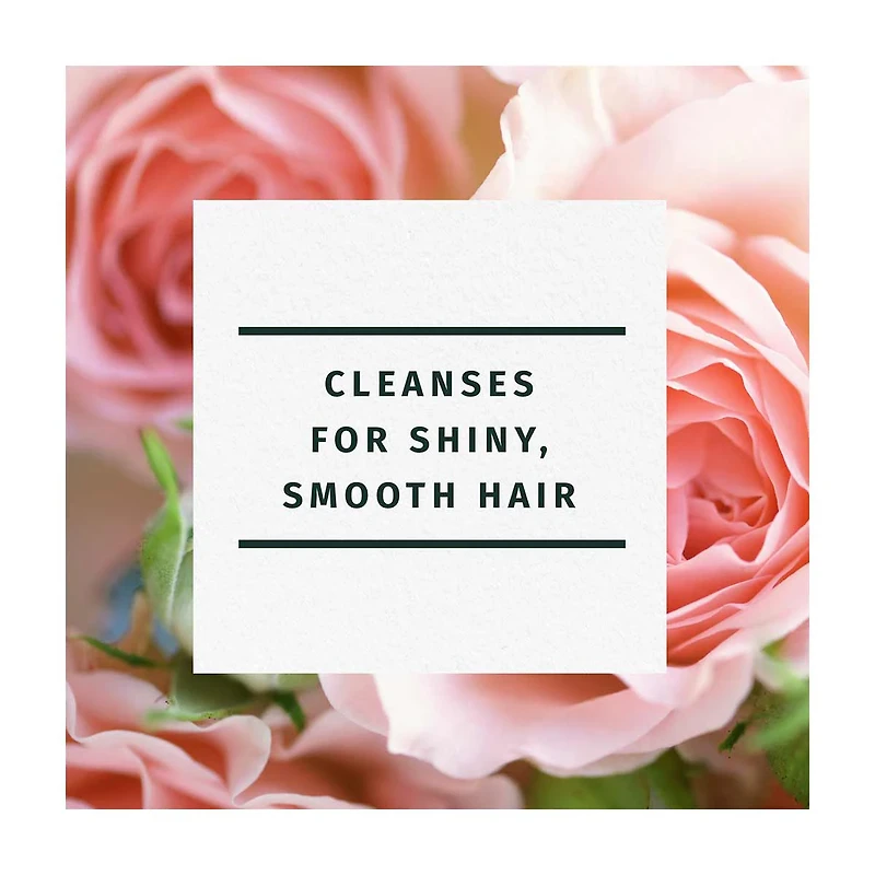 Herbal Essences Rose Hips Smooth Shampoo, 3.38 fl oz