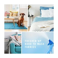 Febreze Odor-Fighting Fabric Refresher - Downy Calm, 16.9 fl oz