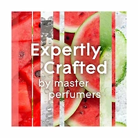 Glade Plugins Scented Oil Refill - Stay Cool Watermelon Scent, 0.67 oz - 2 ct