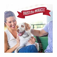 Nature's Miracle Stain & Odor Remover, Enzymatic Formula, 14 fl oz