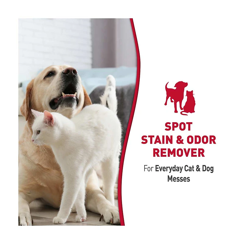 Nature's Miracle Stain & Odor Remover, Enzymatic Formula, 14 fl oz