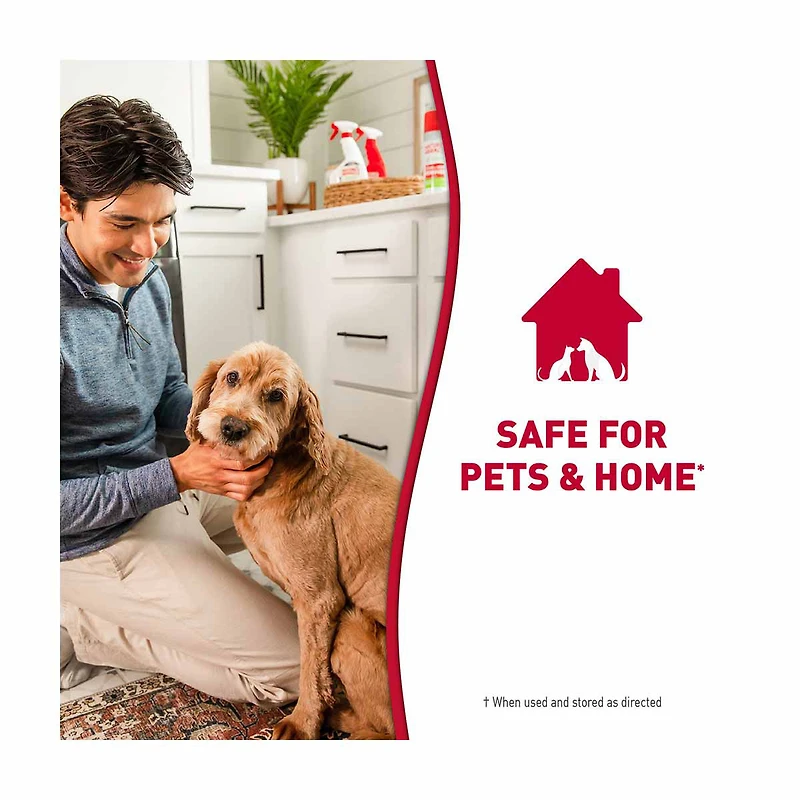 Nature's Miracle Stain & Odor Remover, Enzymatic Formula, 14 fl oz