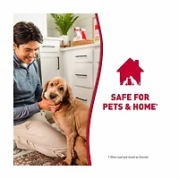 Nature's Miracle Stain & Odor Remover, Enzymatic Formula, 14 fl oz