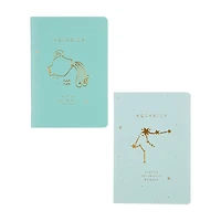 Mini Bound Journal, Aquarius