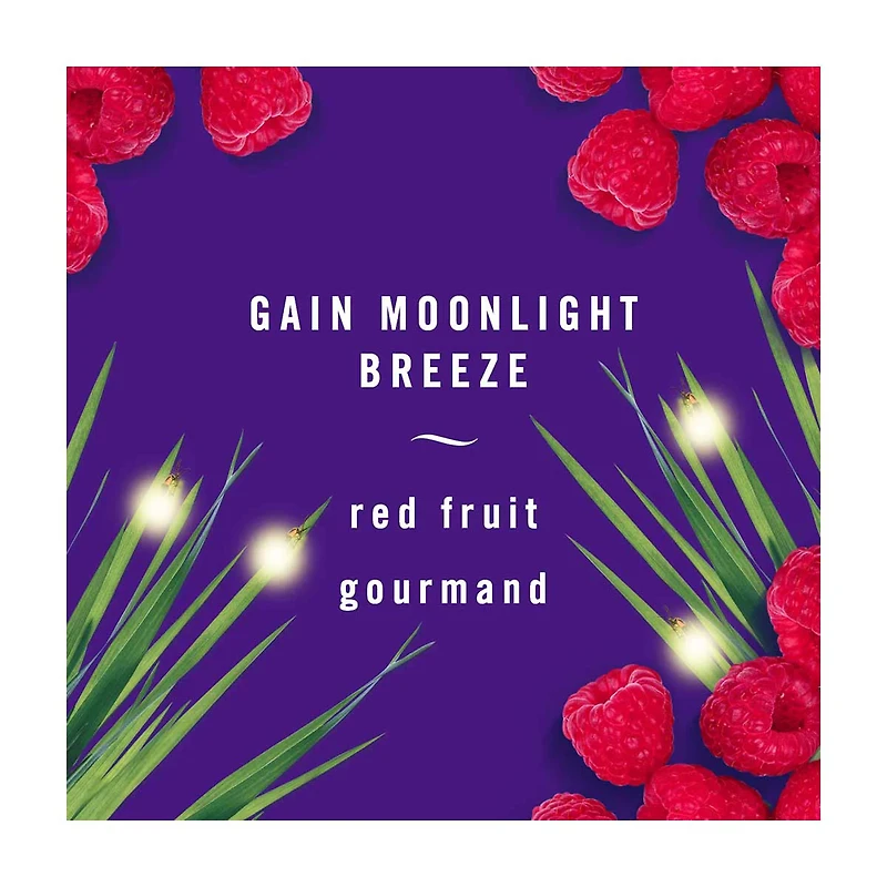 Febreze Small Spaces Air Freshener with Gain - Moonlight Breeze, 0.25 fl oz