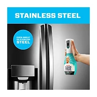 Mr. Clean Clean Freak Deep Cleaning Mist Multi-Surface Spray, Unstopables Fresh