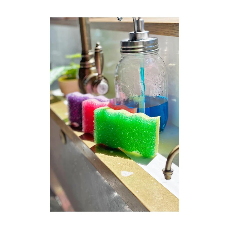 Scrubbing Sponge, 3 ct